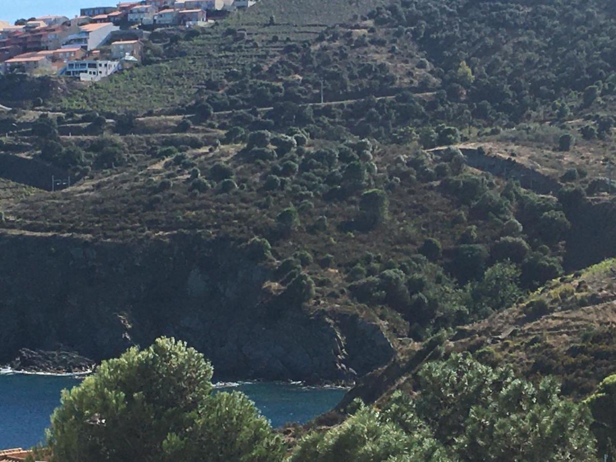 Aloes Διαμέρισμα Cerbère Εξωτερικό φωτογραφία